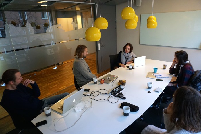 Negin Azimi- Sveriges ungdomsråd-TEDx-Stockholm-Entreprenör