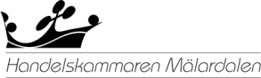 handelskammaren mälardalen_Negin Azimi